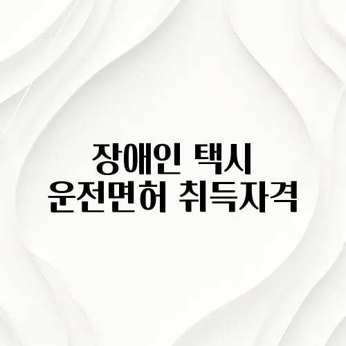 장애인 택시 운전면허 취득자격
