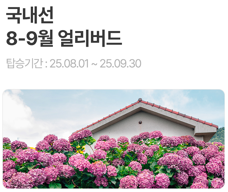 국내선특가