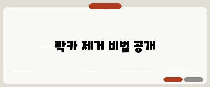 락카 지우는법 깨끗하게 제거