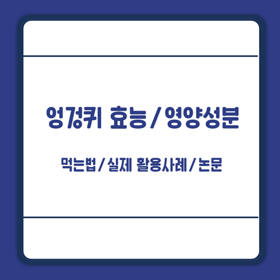 엉겅퀴 효능