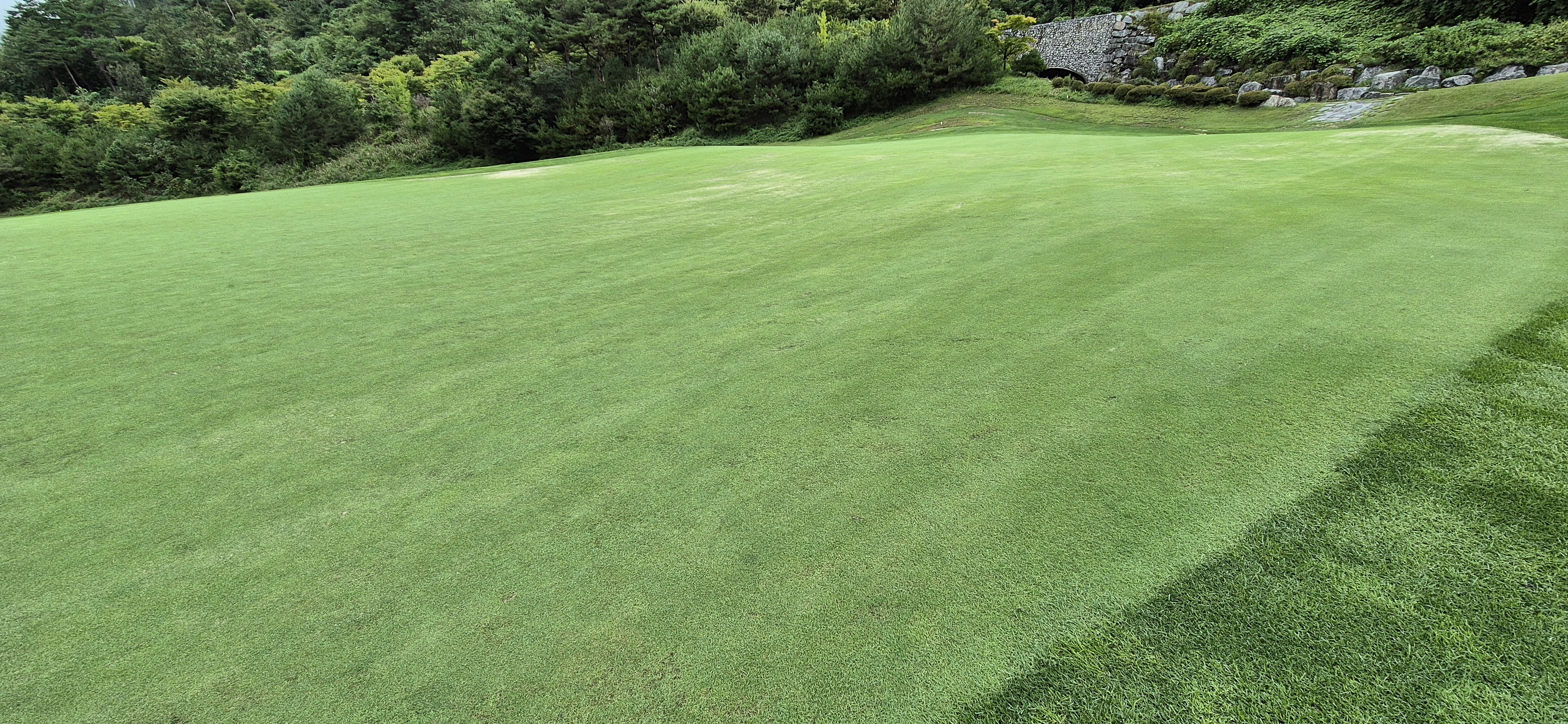 더플레이어스cc