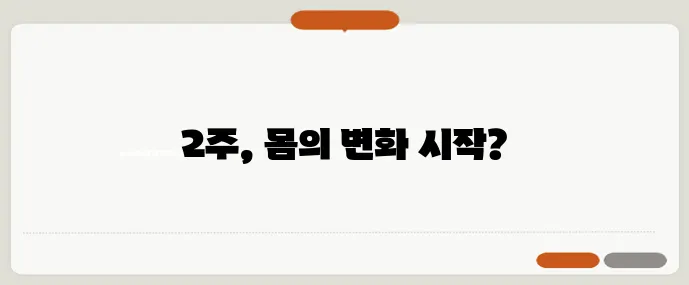 탄단지 40:30:30 식단표로 2주 만에 체중 감량에 성공하세요!