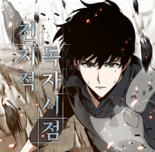 전지적 독자 시점