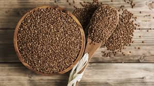 들깨 파종 시기, 이대로만 하면 풍성한 수확!