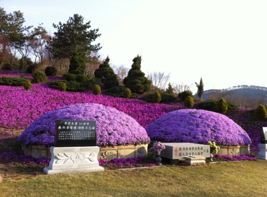 산소 꽃