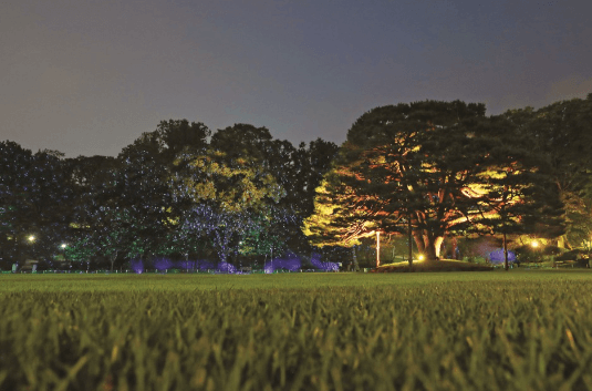 청와대 야간개장 예약방법