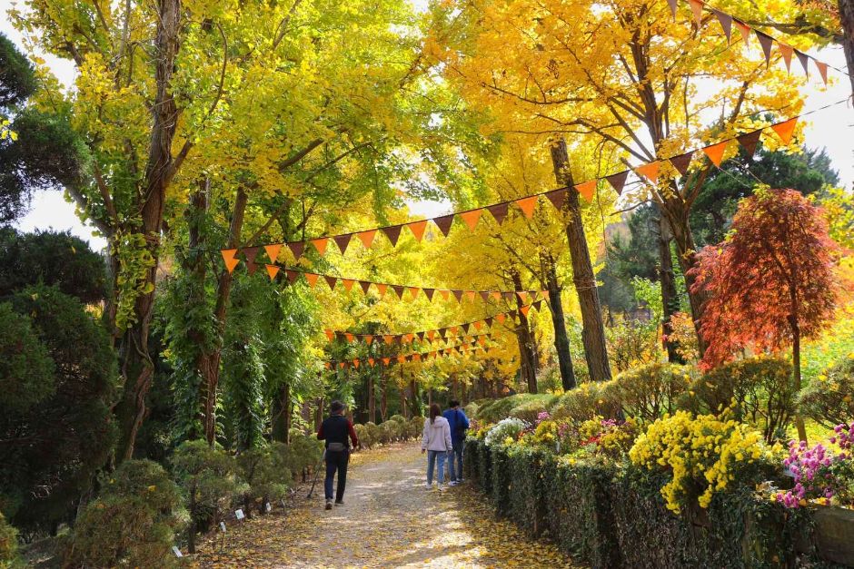 베어트리파크 단풍 축제