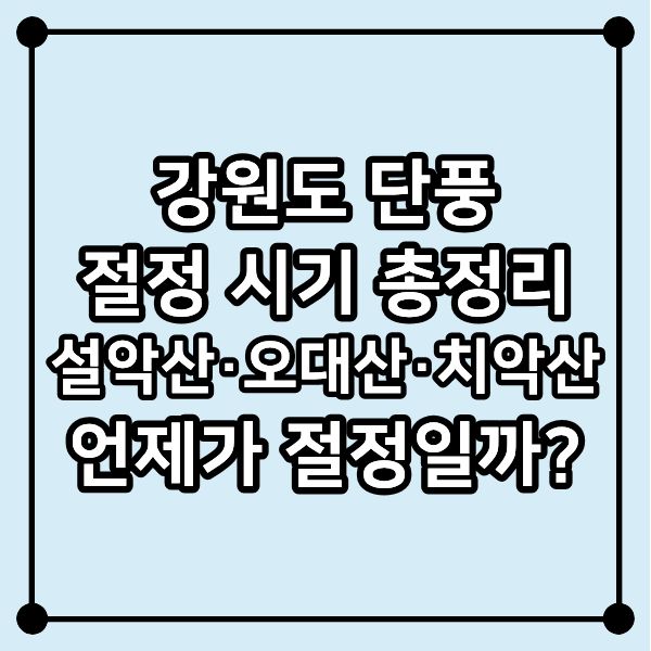 강원도 단풍 절정 시기 총정리|설악산·오대산·치악산 언제가 절정일까?