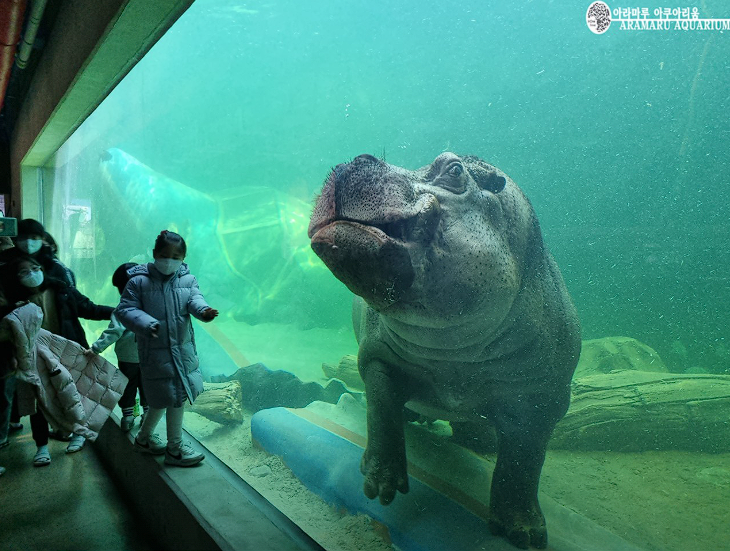 사천 가볼만한 곳 