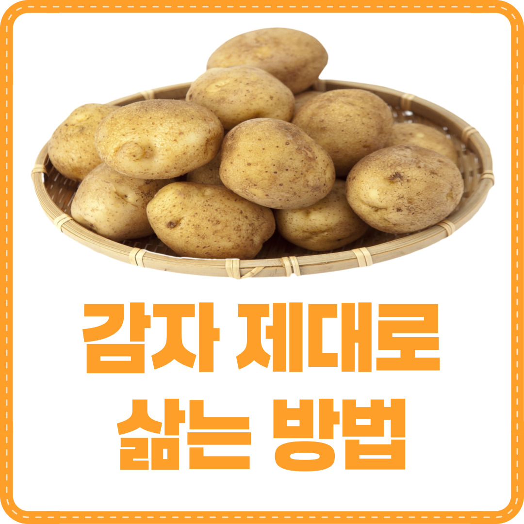 감자 삶는 방법