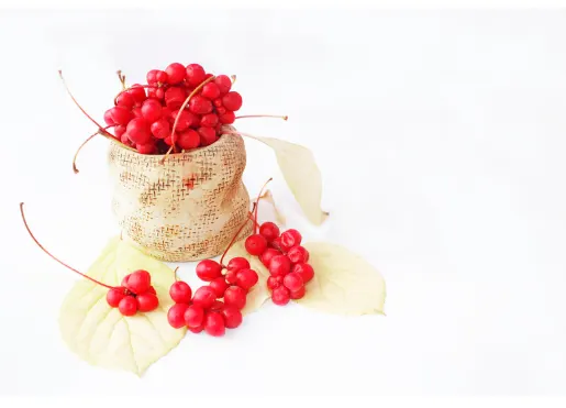 오미자 효능 및 먹는 방법 주의점