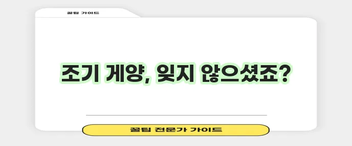 현충일 국기 게양 올바른 방법 여기서 확인하세요!
