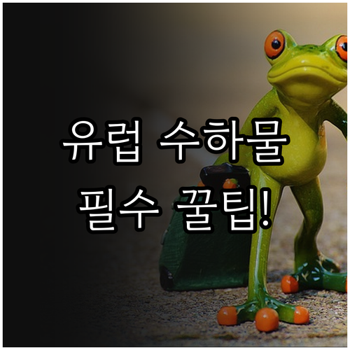 티웨이항공 유럽행 수하물 규정과 온라..