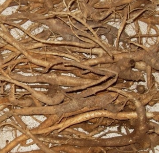 도라지 효능 부작용 고르는법 먹는법 꽃 총정리