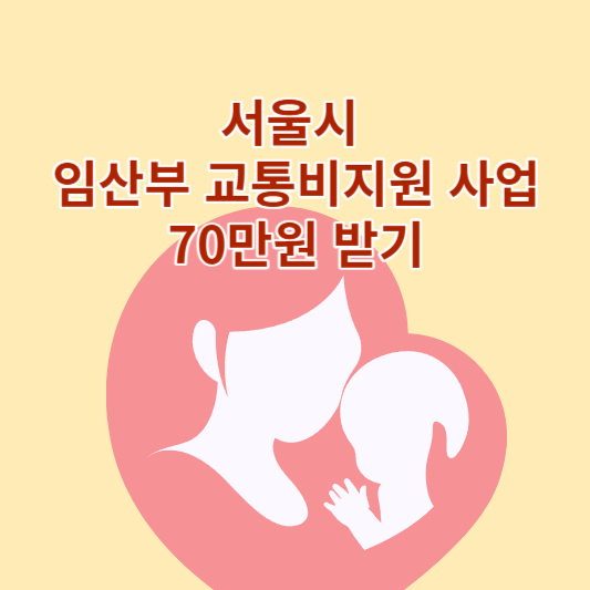 서울시 임산부 교통비지원 사업