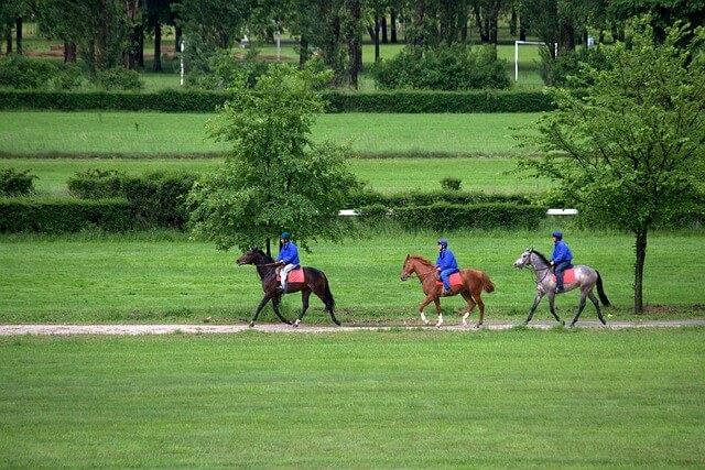 2024년 신년운세 말띠 5월 운세 열정의 결과물~