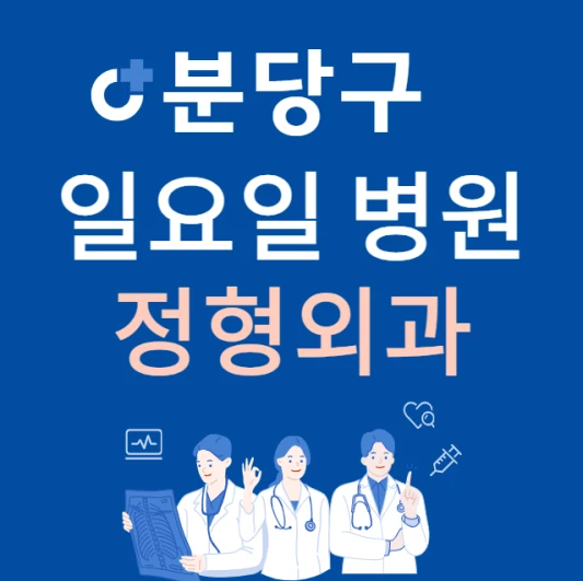 성남시-분당구-일요일-정형외과-진료하는곳-주말에-문여는-분당구-24시간-정형외과-병원-찾기