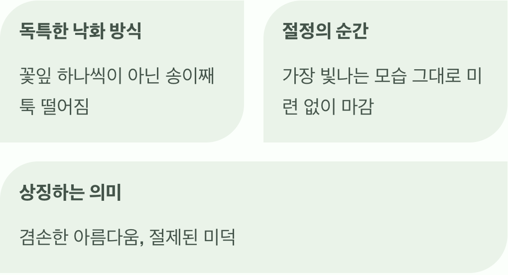 가장 아름다운 이별의 방식