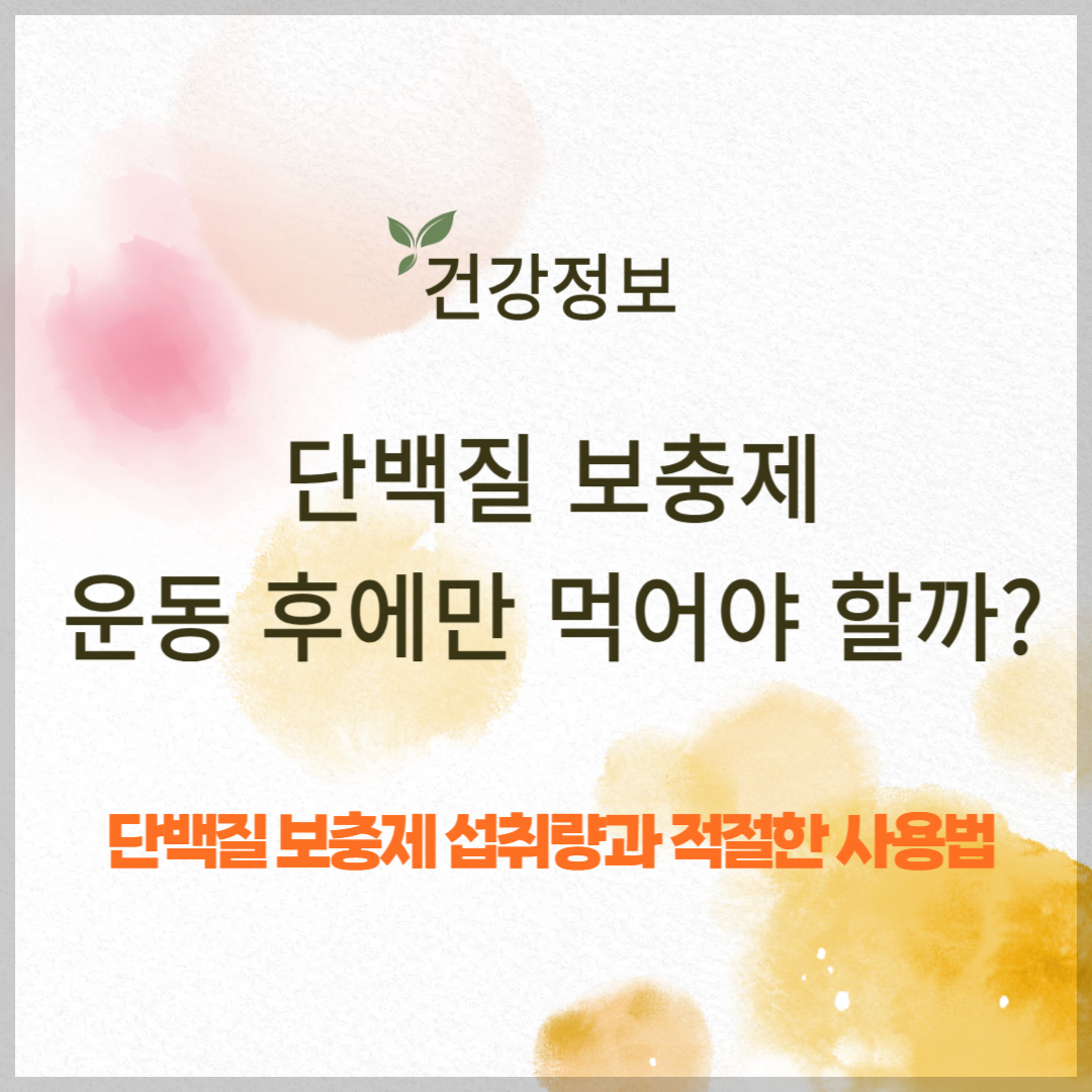 단백질 보충제, 정말 운동 후에만 먹어야 할까?