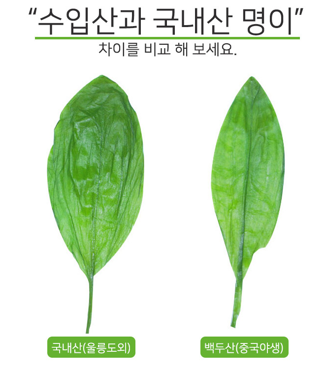 명이나물,산마늘 손질법, 효능과 부작용