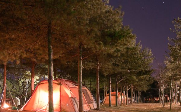솔밭가족캠프촌-야경