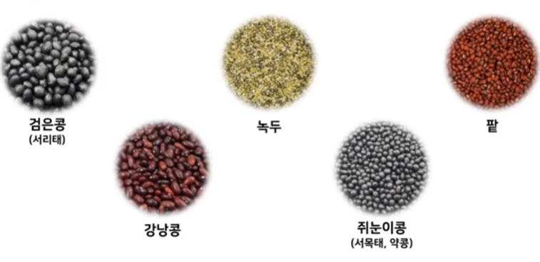 콩 종류