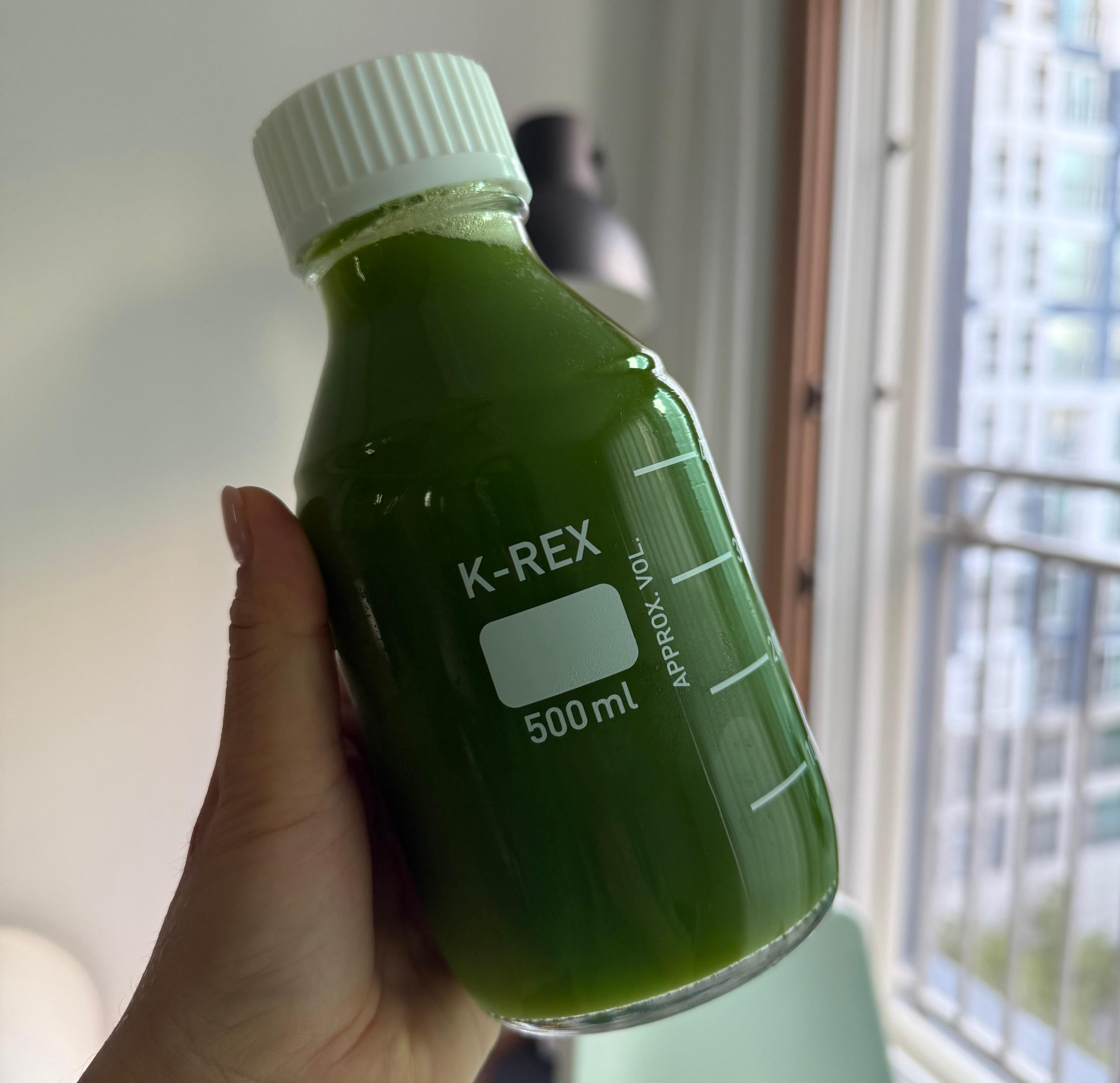 셀러리 주스 마시는 방법: 혼합해도 괜찮을까?