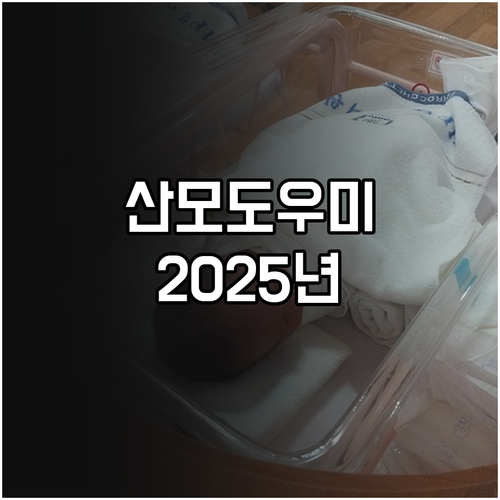 군산시 2025 산모도우미 서비스: ..