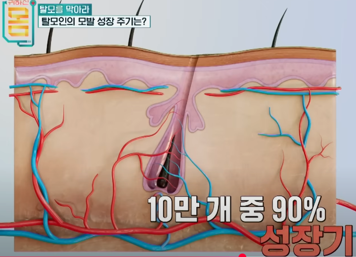 출처; EBS건강