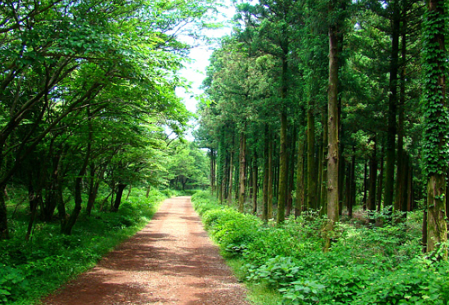 5월제주도 가볼만한곳