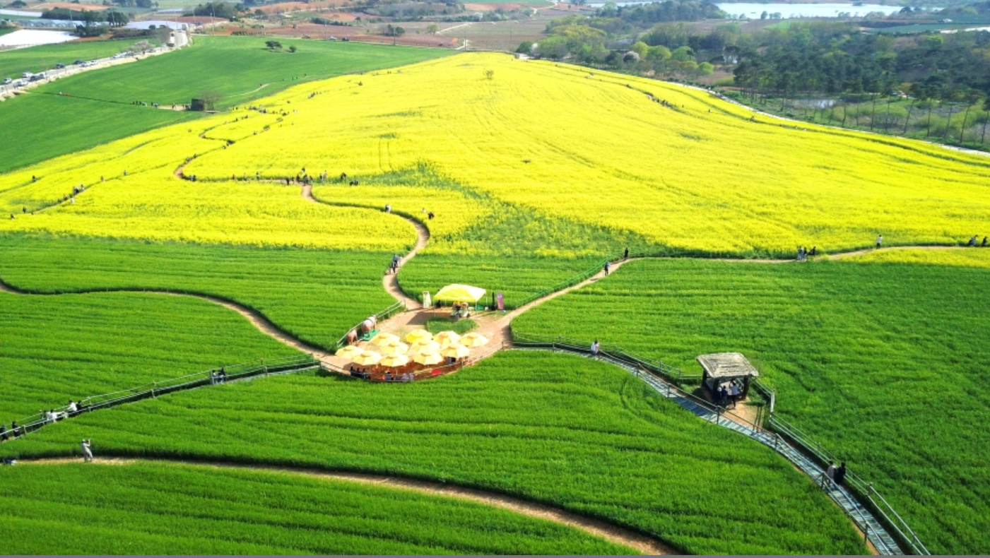완도 청산도 슬로길