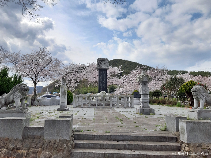 장산숲
