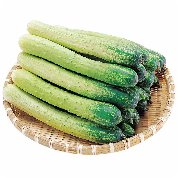 오이무침-황금레시피