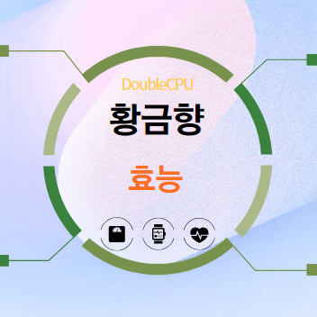 황금향 효능 탐구