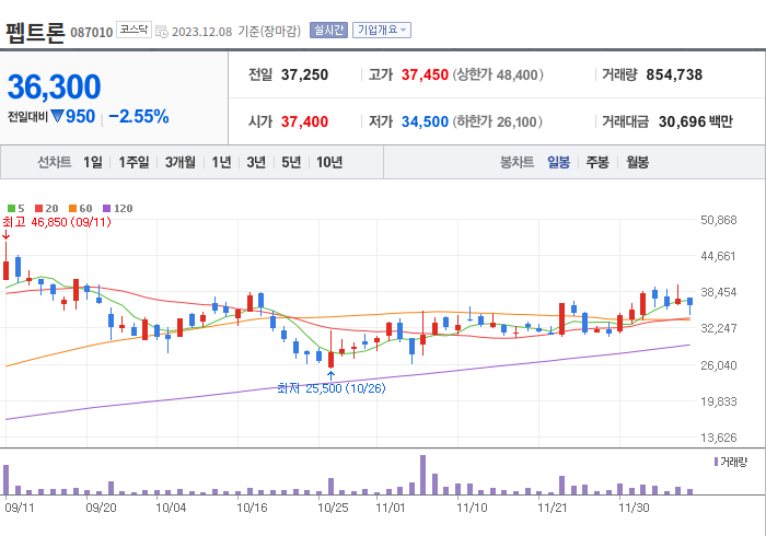 펩트론 3개월 주가(일봉)