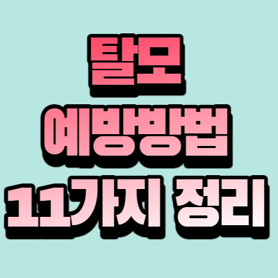 탈모 예방 방법 11가지 정리