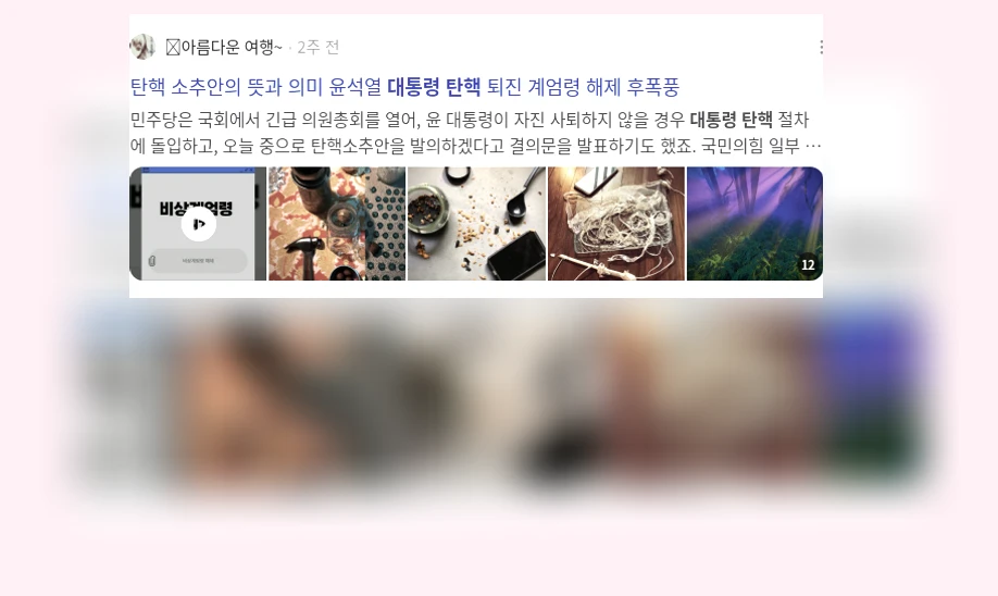 대통령 탄핵_2_subsection