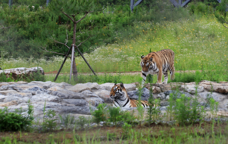 백두대간 수목원