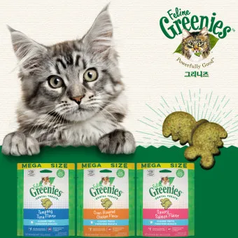 고양이 과자 먹어도 되나요. 이빨과자_9