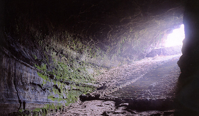 제주화산섬 관련사진