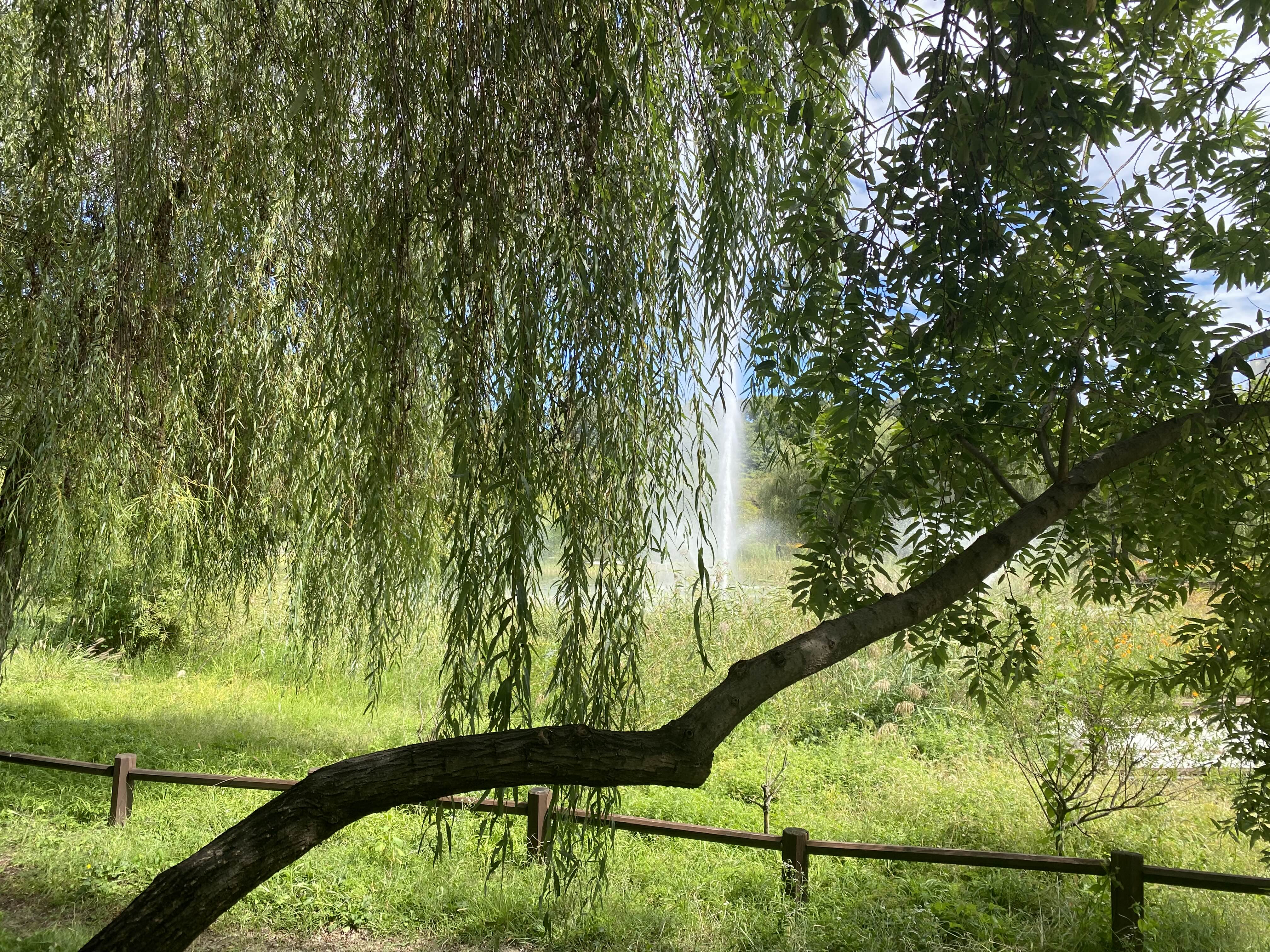 Alt 속성 문제 해결 설명 이미지