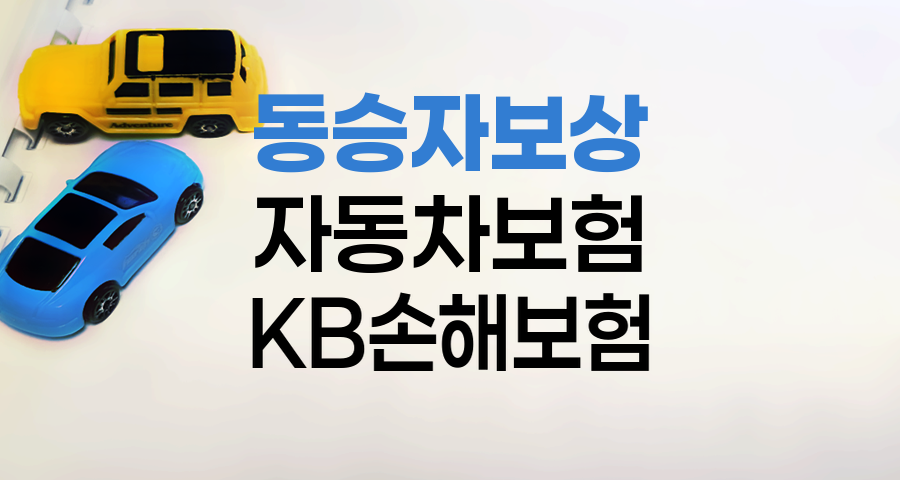 KB손해보험 자동차보험 동승자 보상 체계