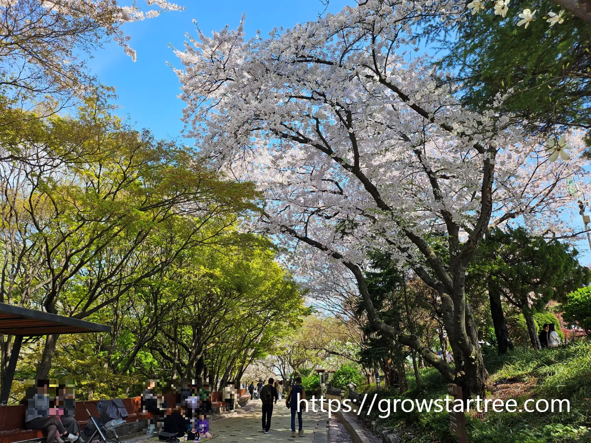 동인천 자유공원