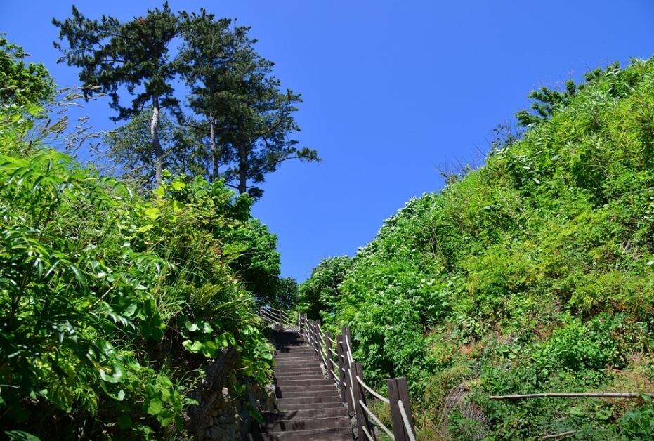 울릉도여행 울릉도배편 울릉도크루즈 울릉도 공항