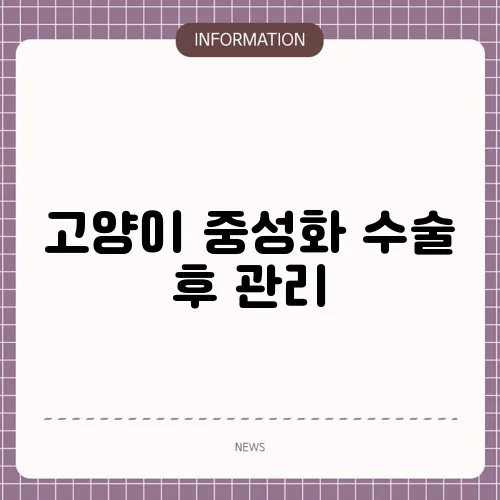고양이 중성화 수술 후 관리