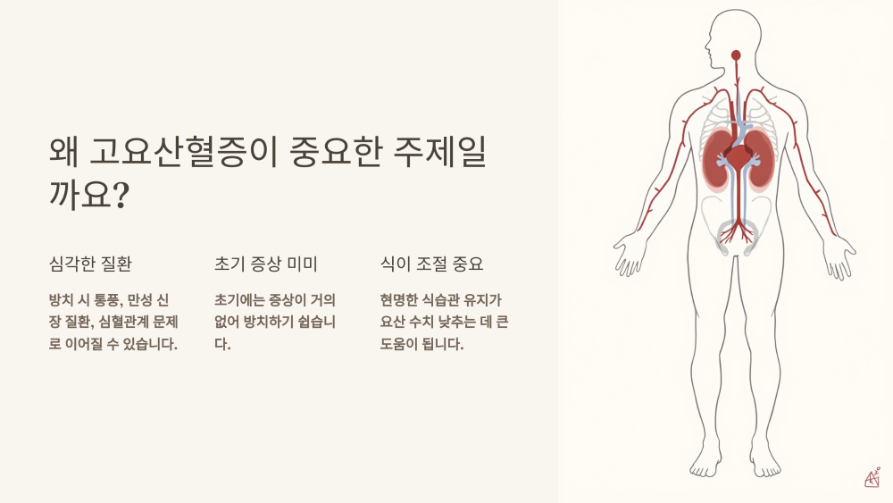 왜 고요산혈증이 중요한 주제일까요?