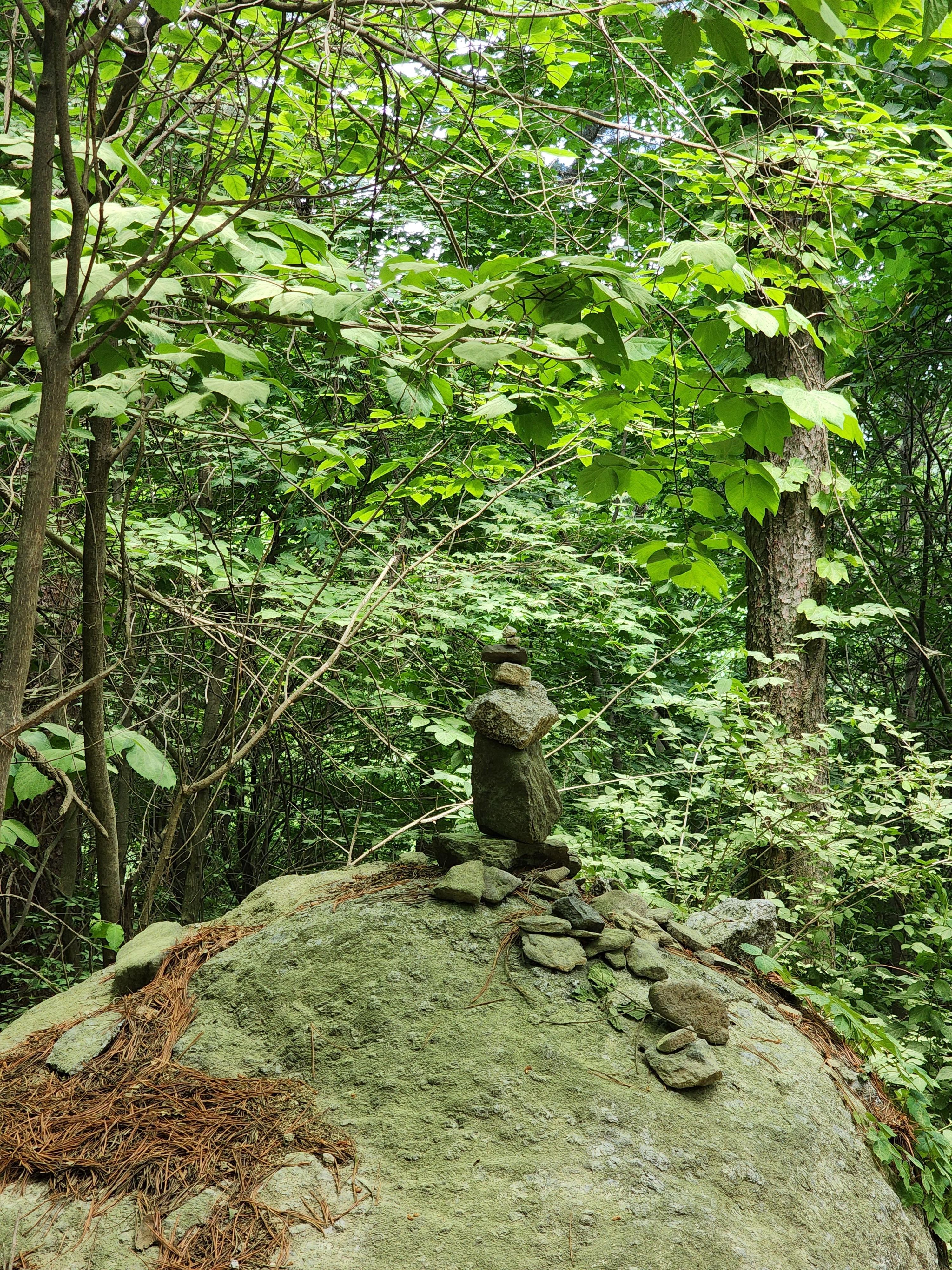 Alt 속성 문제 해결 설명 이미지