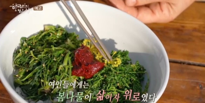 담양군-창평면-약초연구가