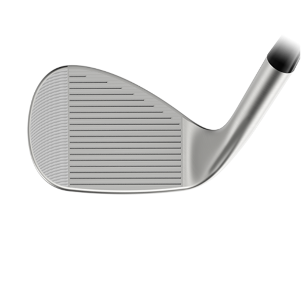 집코어 페이스면