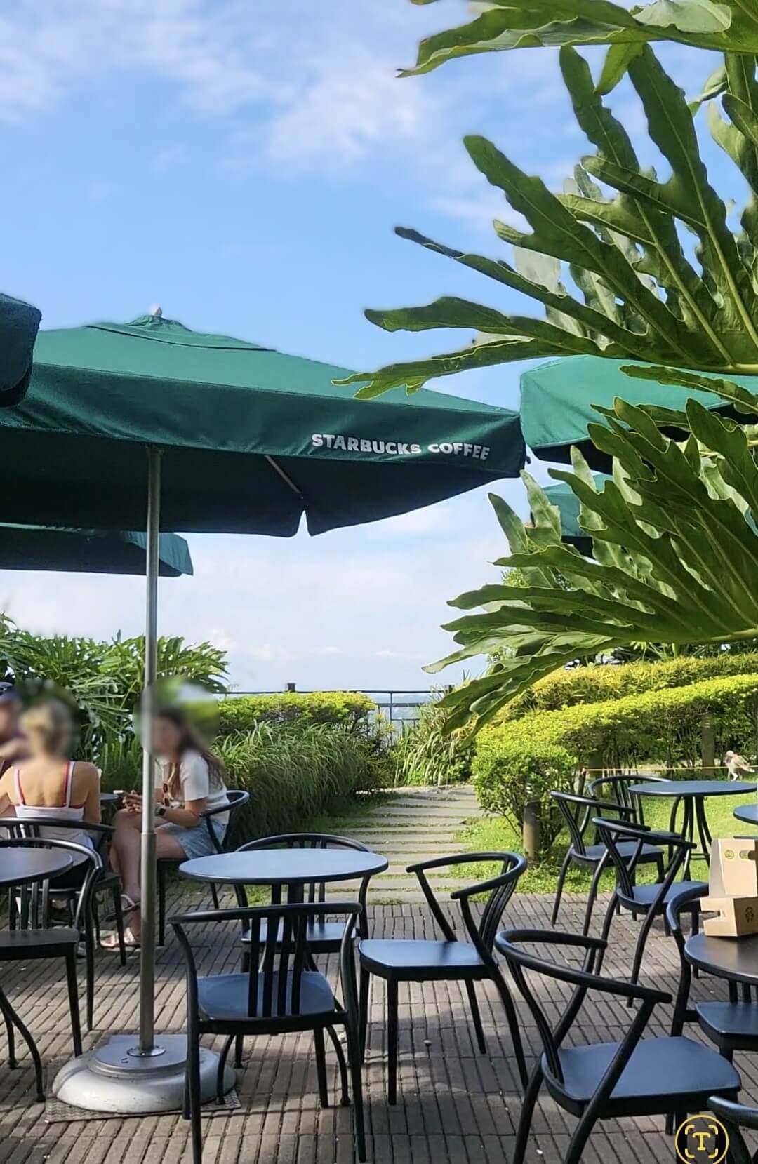 타가이타이 스타벅스 테라스